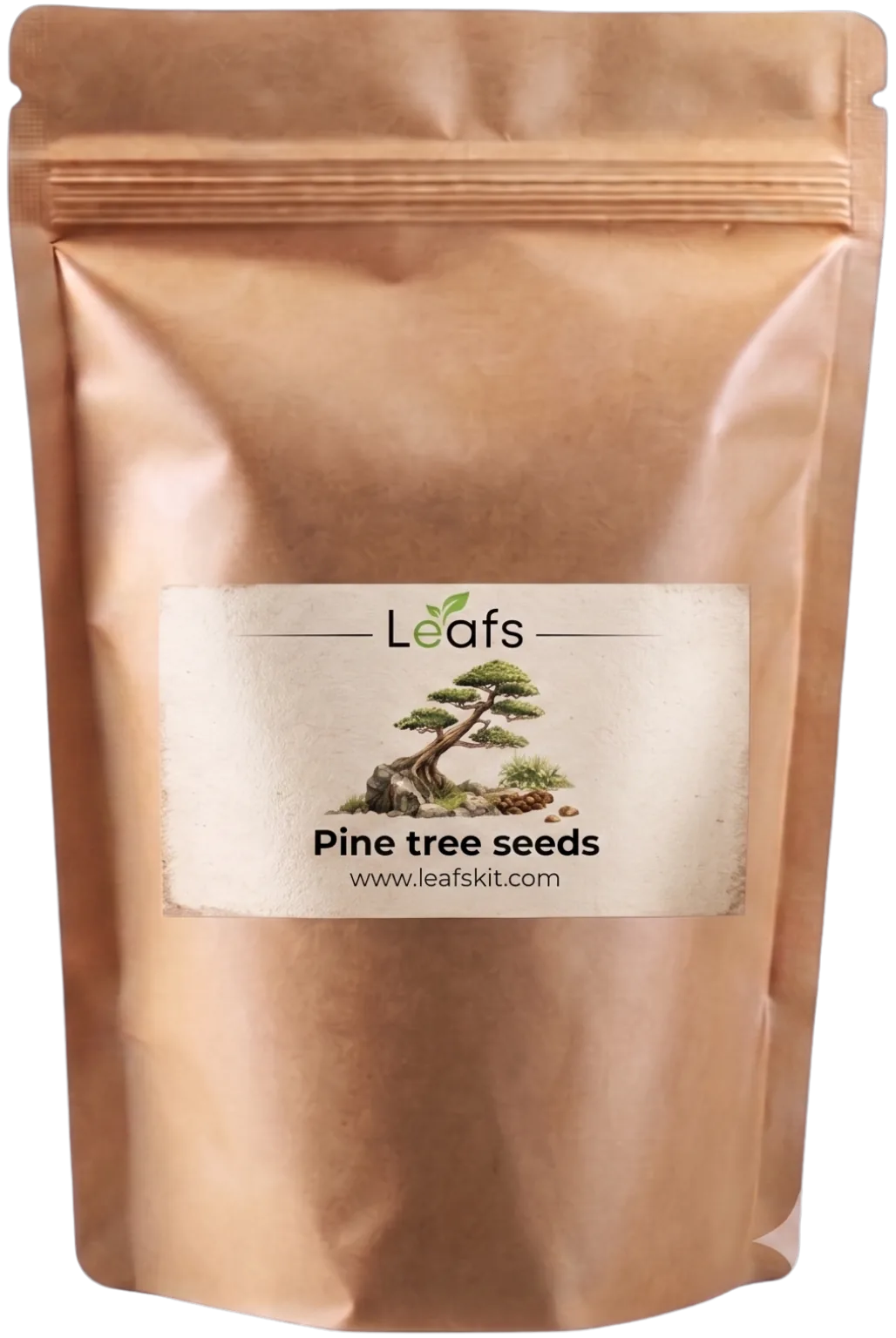 Sachet de graines de pin