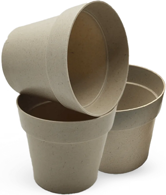 Pots Leafs