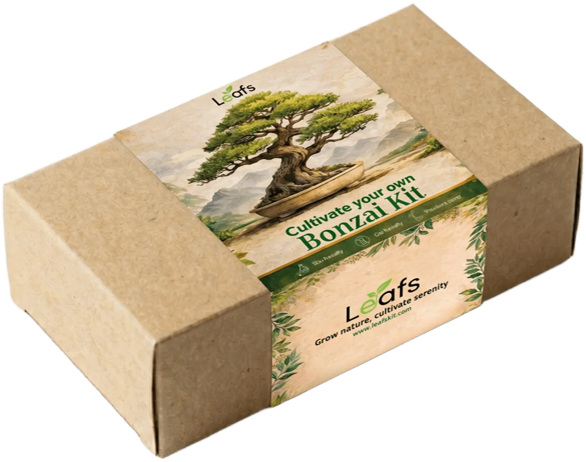 Packaging Leafs bonsaï